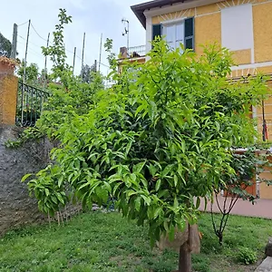  Guest house Affittacamere Antonella